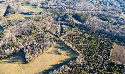 Photo #16 of 3004 ZZ County Farm, Gibsonville, NC 31.7 acres