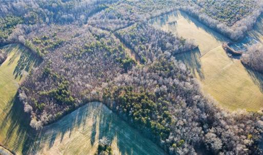Photo #12 of 3004 ZZ County Farm, Gibsonville, NC 31.7 acres