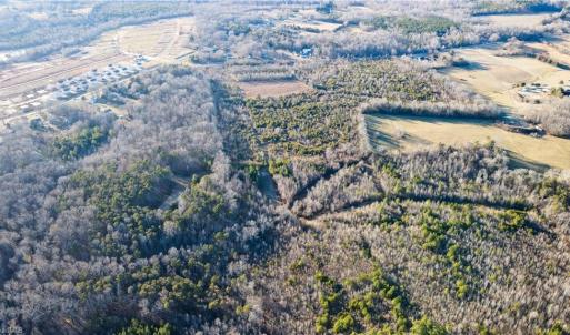 Photo #10 of 3004 ZZ County Farm, Gibsonville, NC 31.7 acres