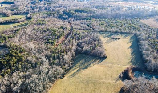 Photo #14 of 3004 ZZ County Farm, Gibsonville, NC 31.7 acres