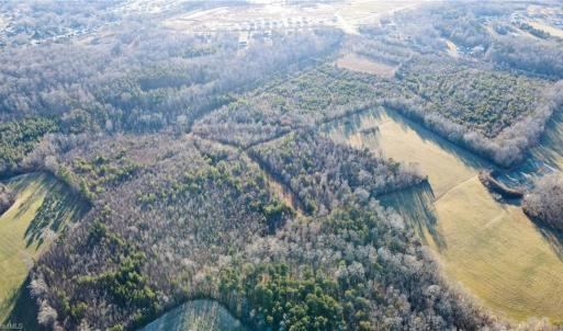 Photo #11 of 3004 ZZ County Farm, Gibsonville, NC 31.7 acres