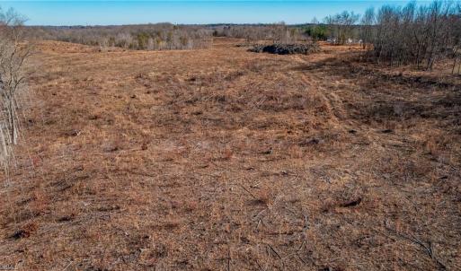 Photo #5 of 3830 Vance Street, Reidsville, NC 46.9 acres