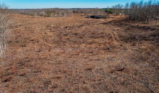Photo #5 of 3830 Vance Street, Reidsville, NC 46.9 acres