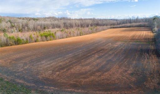 Photo #12 of Sells Farm, Kernersville, NC 25.0 acres