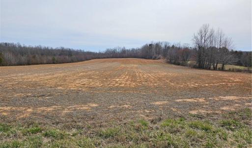 Photo #3 of Sells Farm, Kernersville, NC 25.0 acres