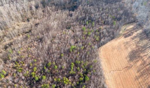 Photo #11 of Sells Farm, Kernersville, NC 25.0 acres