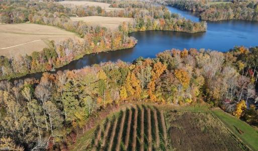 Photo #2 of Boyd, Reidsville, NC 29.4 acres