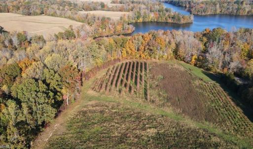 Photo #8 of Boyd, Reidsville, NC 29.4 acres