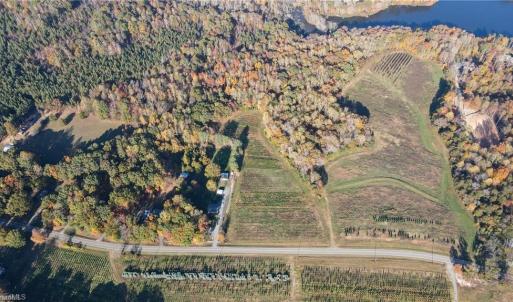 Photo #5 of Boyd, Reidsville, NC 29.4 acres