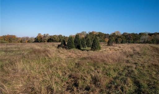 Photo #10 of Boyd, Reidsville, NC 29.4 acres