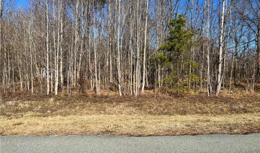 Photo #3 of Service, Mebane, NC 0.7 acres