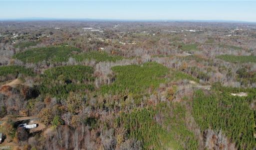 Photo #12 of Morehead, Reidsville, NC 100.4 acres
