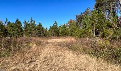 Photo #22 of Morehead, Reidsville, NC 100.4 acres