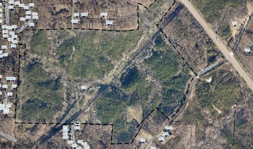 Photo #1 of Morehead, Reidsville, NC 100.4 acres