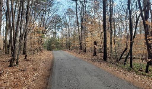 Scenic road through the hardwoods