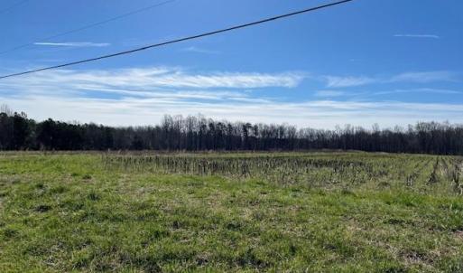 Photo #1 of 5426 Turner Smith, Browns Summit, NC 30.9 acres