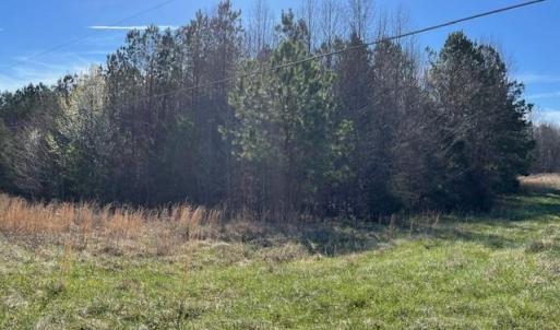 Photo #4 of 5426 Turner Smith, Browns Summit, NC 30.9 acres