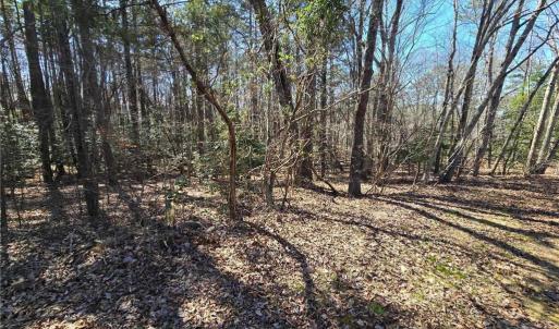 Photo #4 of Lake Shore, New London, NC 0.8 acres