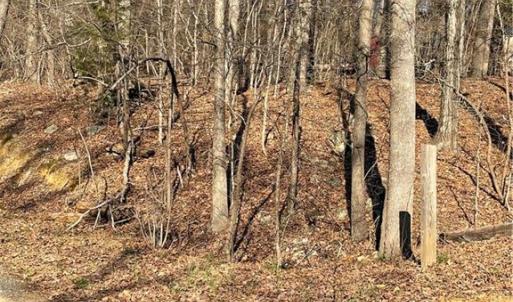 Photo #1 of 109 Pine, New London, NC 0.4 acres