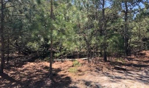 Photo #7 of SOLD property in 2249 Teal Road, Corolla, NC 0.3 acres