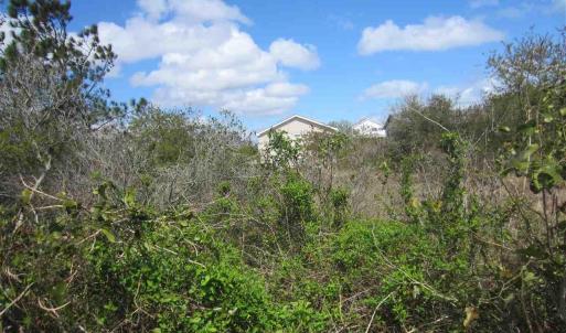 Photo #9 of SOLD property in 318 Sandpiper Court, Nags Head, NC 0.3 acres