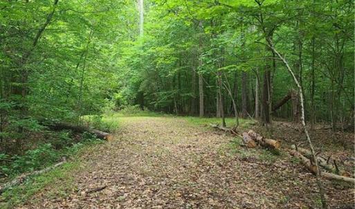 Photo #6 of 450 Crossing Creek, Belews Creek, NC 3.5 acres