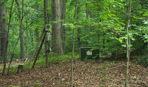 Photo #7 of 450 Crossing Creek, Belews Creek, NC 3.5 acres