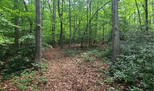 Photo #9 of 450 Crossing Creek, Belews Creek, NC 3.5 acres