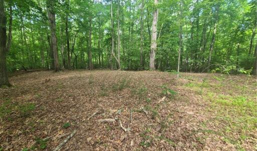 Photo #8 of 450 Crossing Creek, Belews Creek, NC 3.5 acres