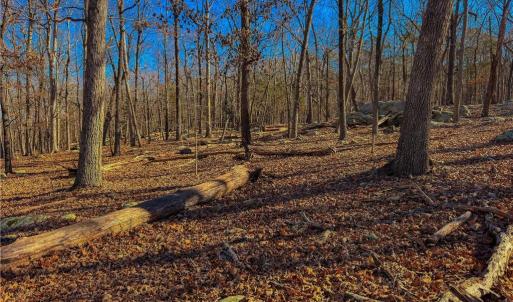 Photo #6 of 2175 Rocky Cove, Denton, NC 3.3 acres