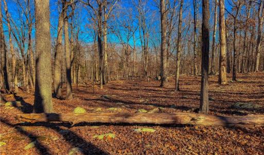 Photo #7 of 2175 Rocky Cove, Denton, NC 3.3 acres