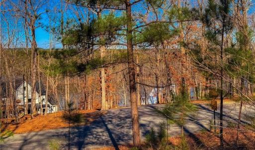 Photo #5 of 2175 Rocky Cove, Denton, NC 3.3 acres