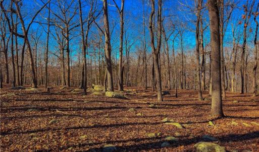 Photo #9 of 2175 Rocky Cove, Denton, NC 3.3 acres