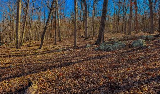 Photo #11 of 2175 Rocky Cove, Denton, NC 3.3 acres
