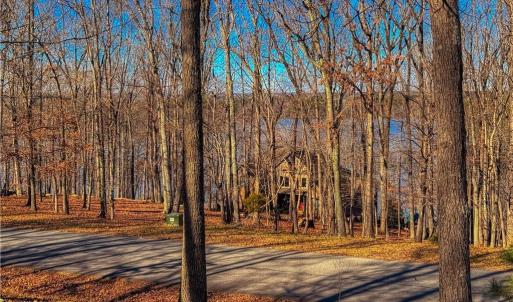 Photo #4 of 2175 Rocky Cove, Denton, NC 3.3 acres
