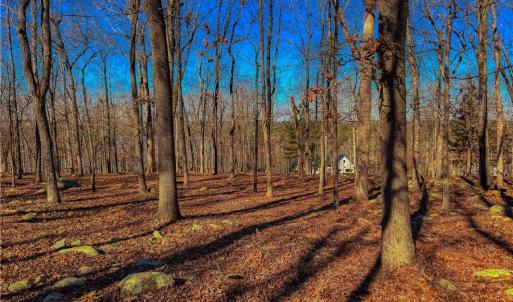 Photo #8 of 2175 Rocky Cove, Denton, NC 3.3 acres