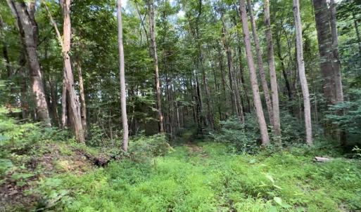 Photo #2 of TBD-1 Peter Mabe, Danbury, NC 10.0 acres