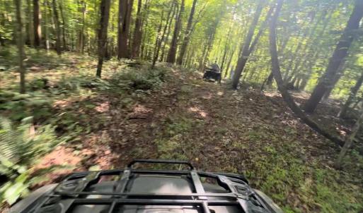 Photo #7 of TBD-1 Peter Mabe, Danbury, NC 10.0 acres