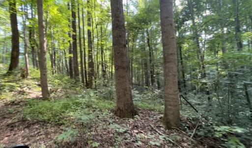 Photo #3 of TBD-1 Peter Mabe, Danbury, NC 10.0 acres
