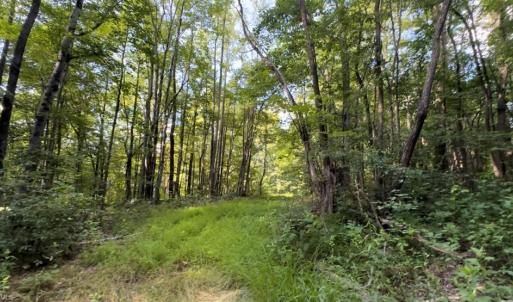 Photo #1 of TBD-1 Peter Mabe, Danbury, NC 10.0 acres