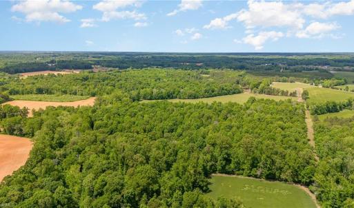 Photo #6 of Albright, Siler City, NC 72.7 acres