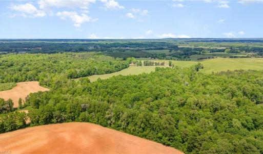 Photo #7 of Albright, Siler City, NC 72.7 acres