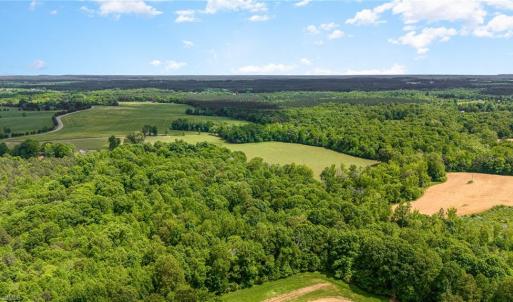 Photo #10 of Albright, Siler City, NC 72.7 acres
