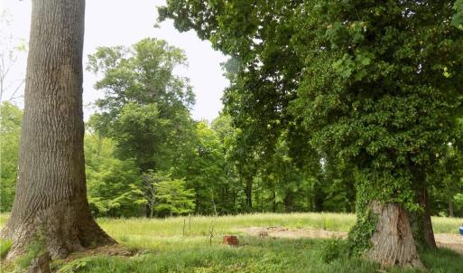 Photo #5 of 1807 New Garden, Greensboro, NC 6.2 acres