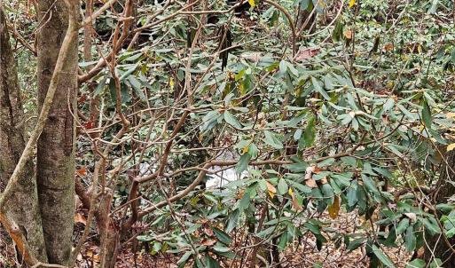Photo #27 of 125 Ahart Ridge, Ararat, VA 163.0 acres