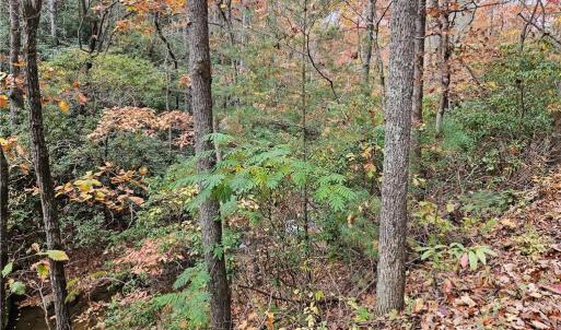 Photo #13 of 125 Ahart Ridge, Ararat, VA 163.0 acres