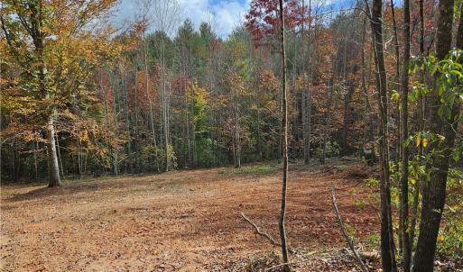 Photo #17 of 125 Ahart Ridge, Ararat, VA 163.0 acres
