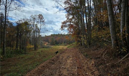 Photo #16 of 125 Ahart Ridge, Ararat, VA 163.0 acres