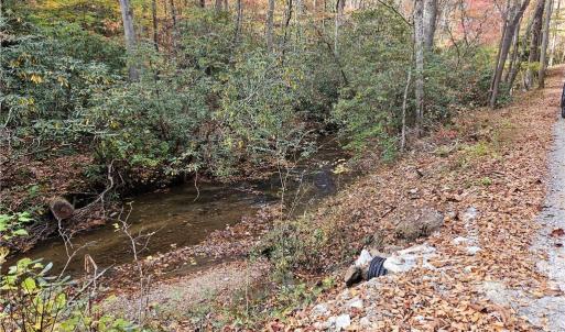Photo #12 of 125 Ahart Ridge, Ararat, VA 163.0 acres