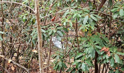 Photo #26 of 125 Ahart Ridge, Ararat, VA 163.0 acres